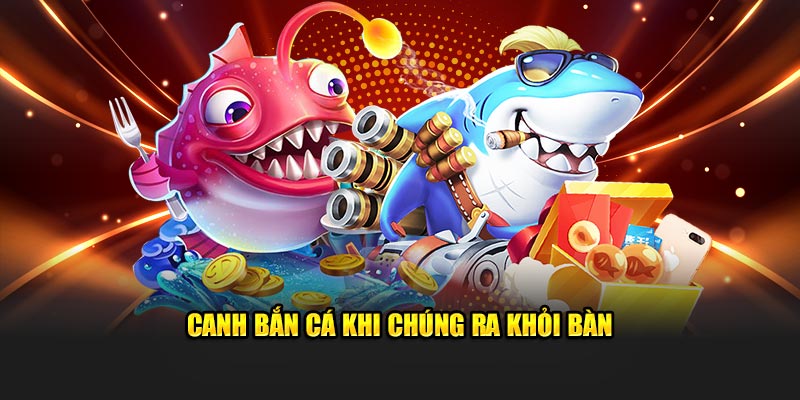 Canh bắn cá khi chúng ra khỏi bàn