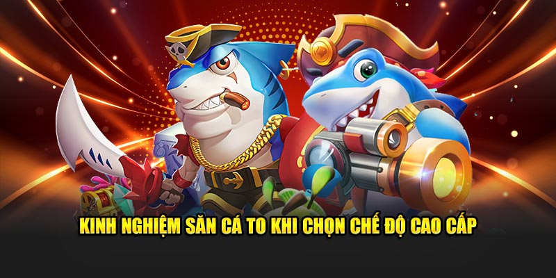 Kinh nghiệm săn cá to khi chọn chế độ cao cấp