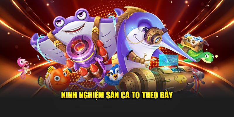 Kinh nghiệm săn cá to theo bầy