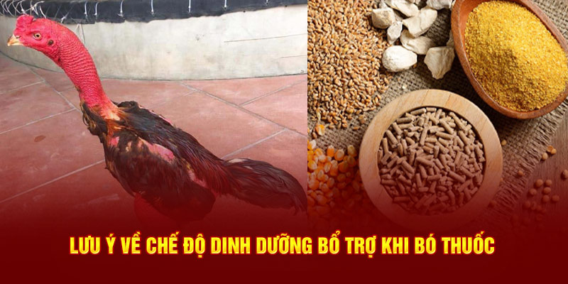 Lưu ý về chế độ dinh dưỡng bổ trợ khi bó thuốc