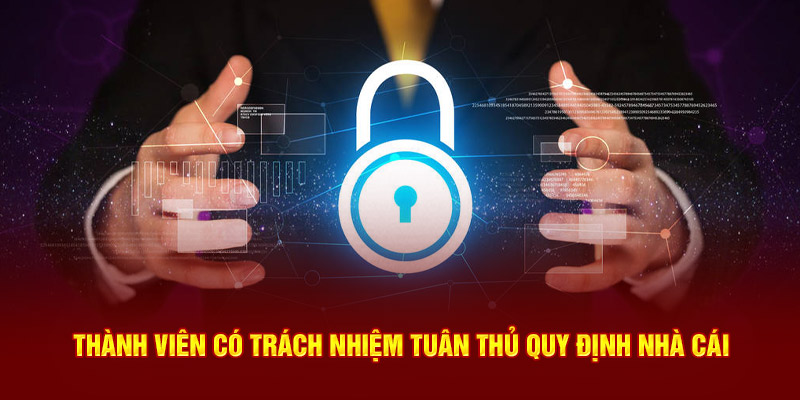 Thành viên có trách nhiệm tuân thủ quy định nhà cái